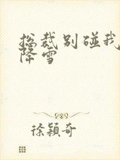 总裁别碰我 韩降雪