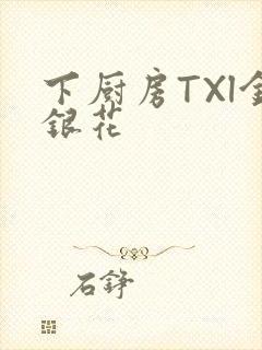 下厨房TXl金银花