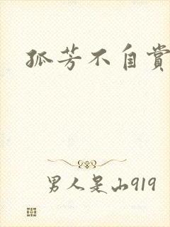 孤芳不自赏小说