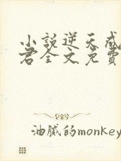 小说逆天成神贤君全文免费读