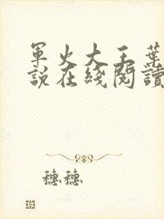 军火大王叶源小说在线阅读无弹窗