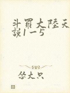 斗罗大陆天狂传说1一5