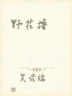 野花撸封面