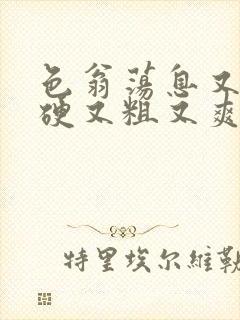 色翁荡息又大又硬又粗又爽电影封面