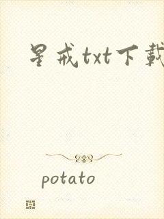 星戒txt下载封面