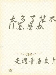 太多了装不下h11怎么办