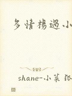 多情杨过小说封面