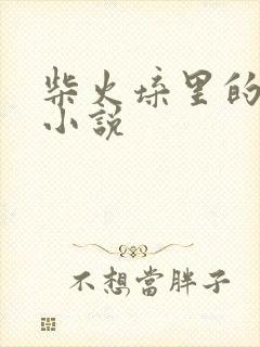 柴火垛里的疯狂小说封面