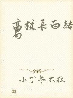 高校长白结大结局封面