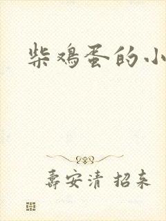 柴鸡蛋的小说封面