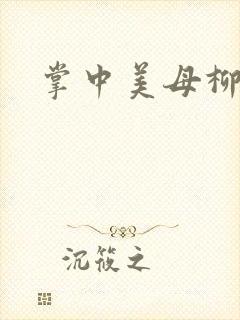 掌中美母柳玉茹封面