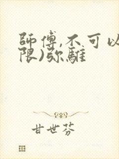 师傅,不可以(限)弥骓封面