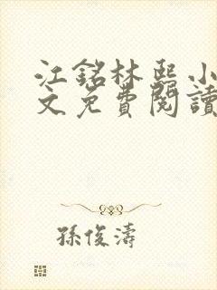 江铭林熙小说全文免费阅读