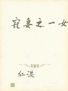 宠妻之一女二夫