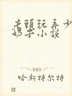 老头玩弄少妇的奶子小说