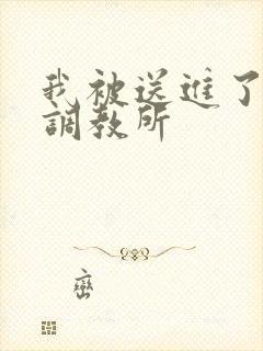 我被送进了私奴调教所