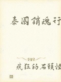 泰国销魂行封面