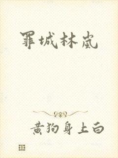 罪城林岚