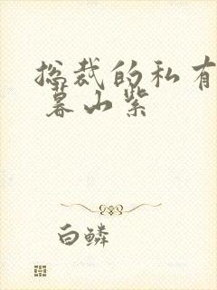 总裁的私有宝贝 暮山紫