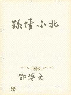 孙倩小北封面