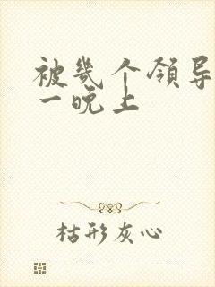 被几个领导玩弄一晚上