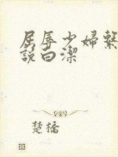 屈辱少妇系列小说白洁封面