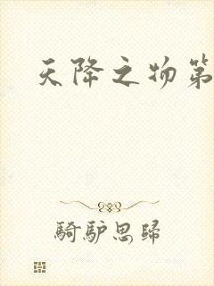 天降之物第一季封面