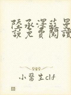 陆承泽苏曼柔小说免费阅读最新章节封面