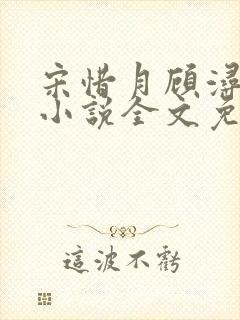 宋惜月顾浔渊的小说全文免费阅读