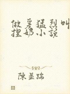 做爰猛烈叫床揉捏奶小说