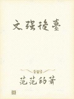 文强后台封面