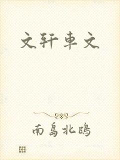 文轩车文