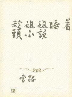 趁姐姐睡着吸乳头小说封面