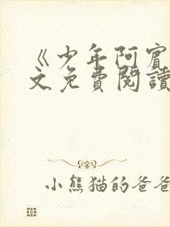 《少年阿宾》全文免费阅读