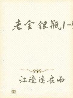 老金银瓶1-5