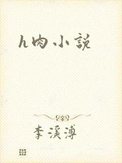 h肉小说