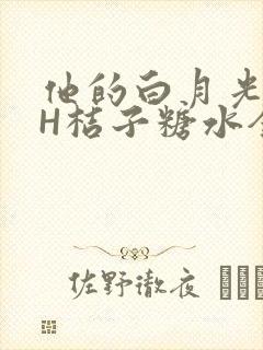 他的白月光HVH桔子糖水全文