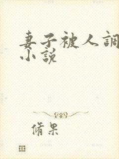 妻子被人调教类小说