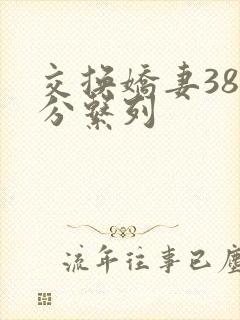 交换娇妻38部分系列封面