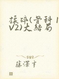 揉碎(骨科 1V2)大结局