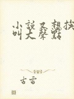 小说又想挨C了叫大声点