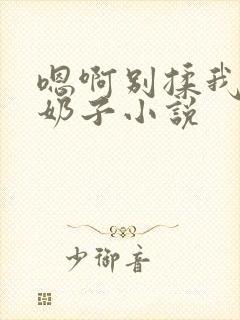 嗯啊别揉我的大奶子小说