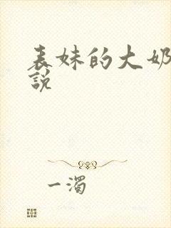 表妹的大奶子小说封面