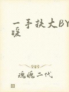 一手扶大BY泱暖封面