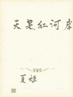 天是红河岸小说封面