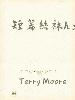 短篇丝袜h文封面