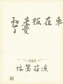 和老板在车里做了爱