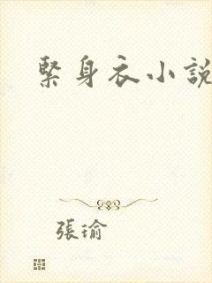 紧身衣小说封面