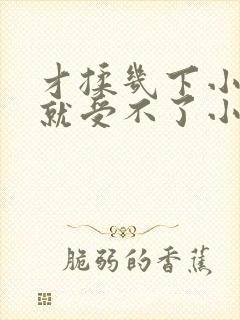 才揉几下小奶头就受不了小说封面