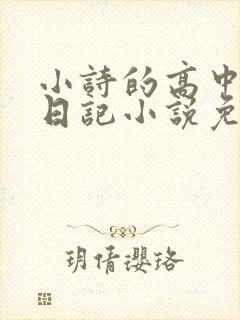 小诗的高中成长日记小说免费阅读封面